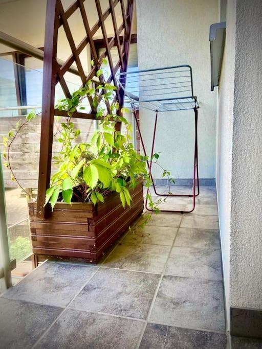 Apartament Grzegorzecka Centrum Kraków Eksteriør billede